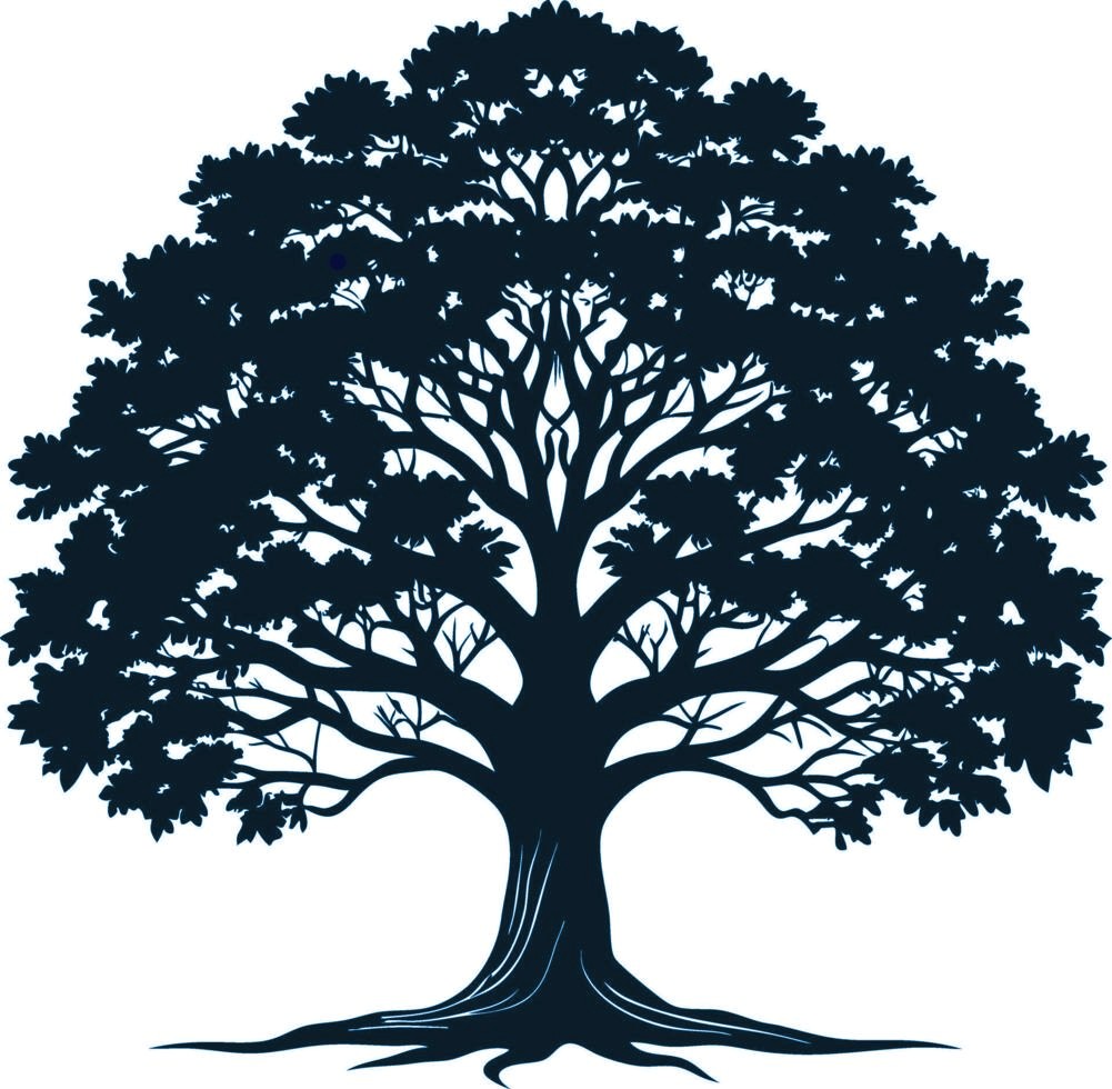 BASTIONS FAMILY OFFICE